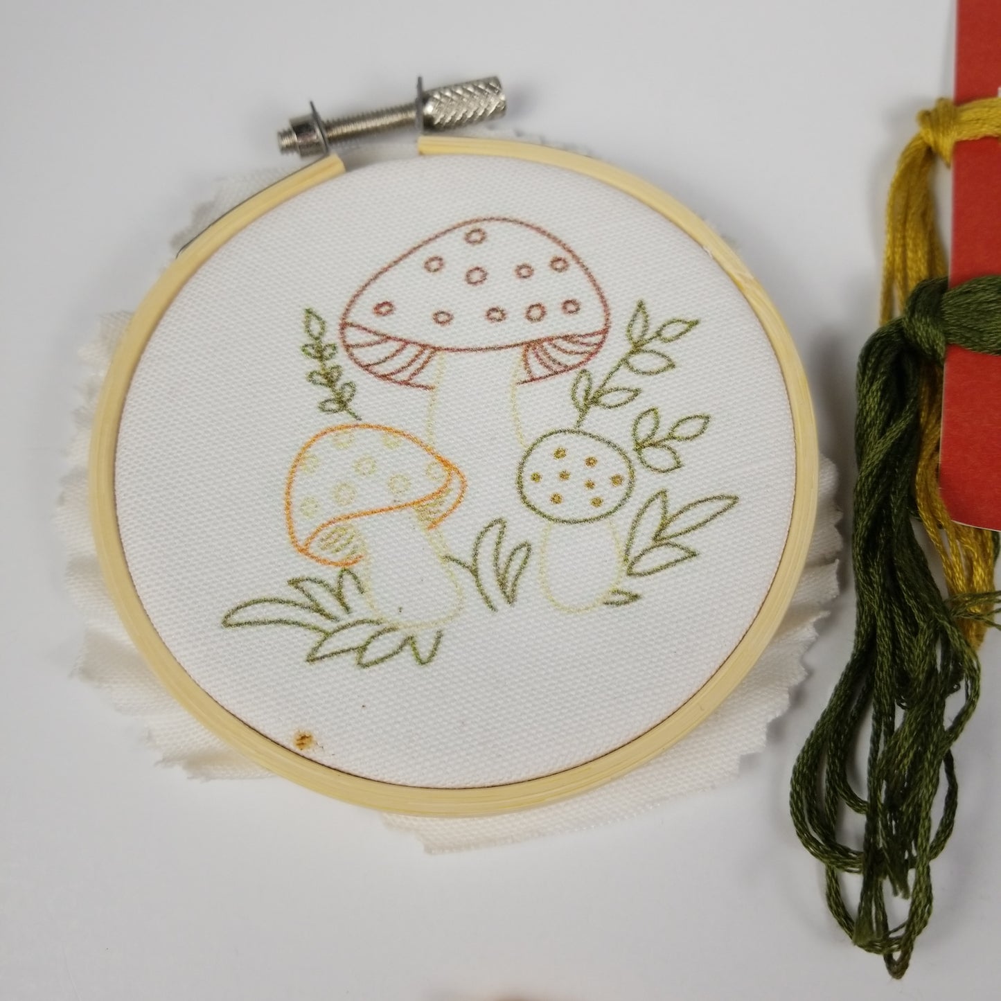 Printed Mushroom Embroidery Kit Floss, Frame and Needles