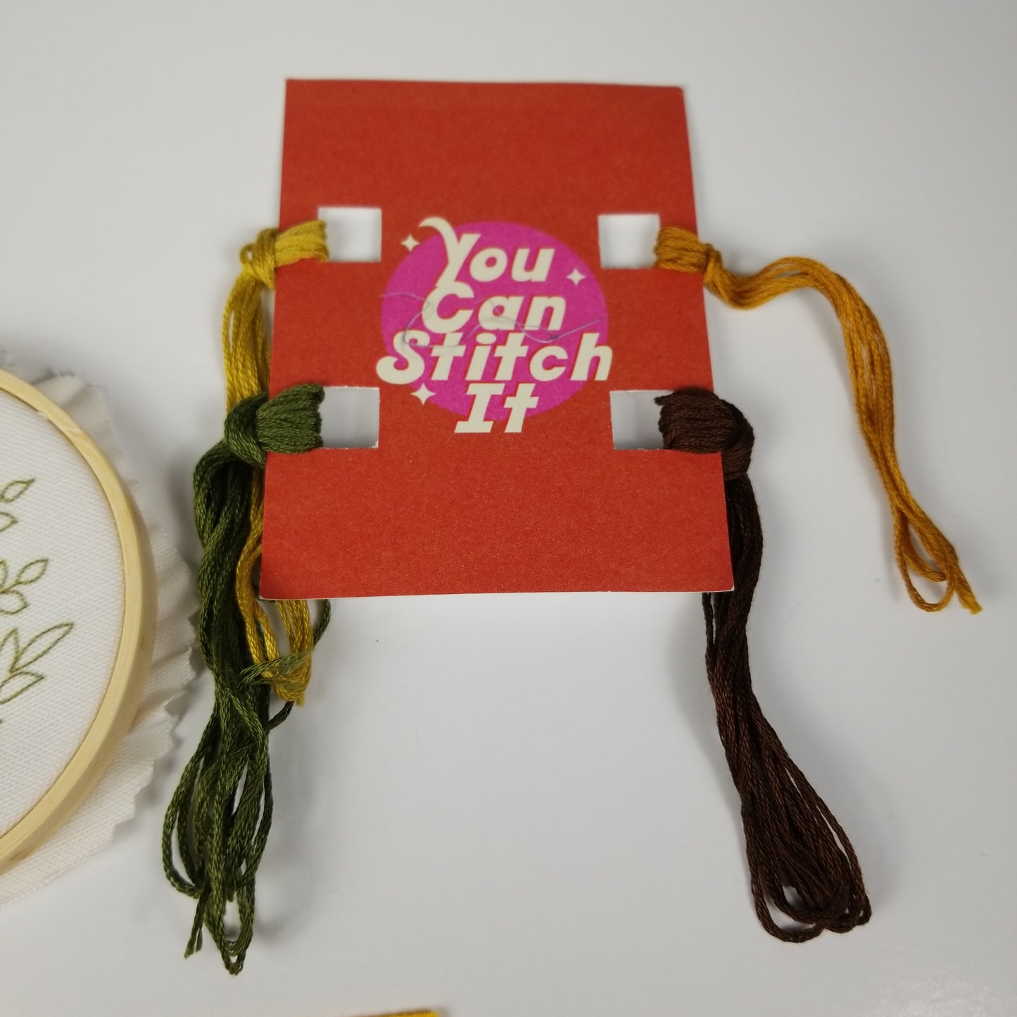 Printed Mushroom Embroidery Kit Floss, Frame and Needles