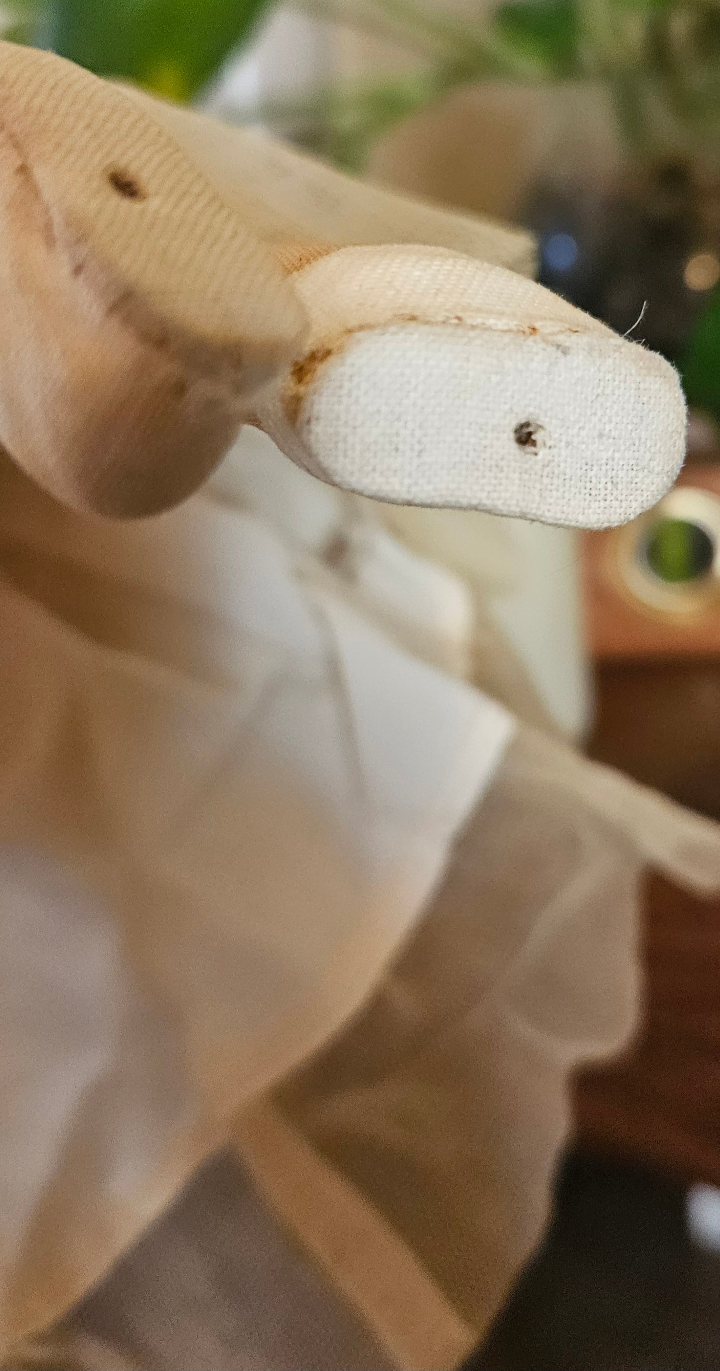 HTF Casa Carioca Cloth Doll Germany Garmisch Partenkirchen