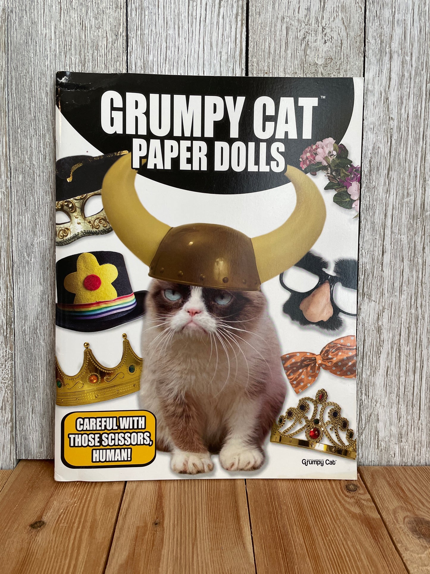 Uncut Paper Dolls in Full Color by Theodore Menten, Peggy Rosamond, Shelia Young, Kathy Allert, And the Wenham Museum Book New