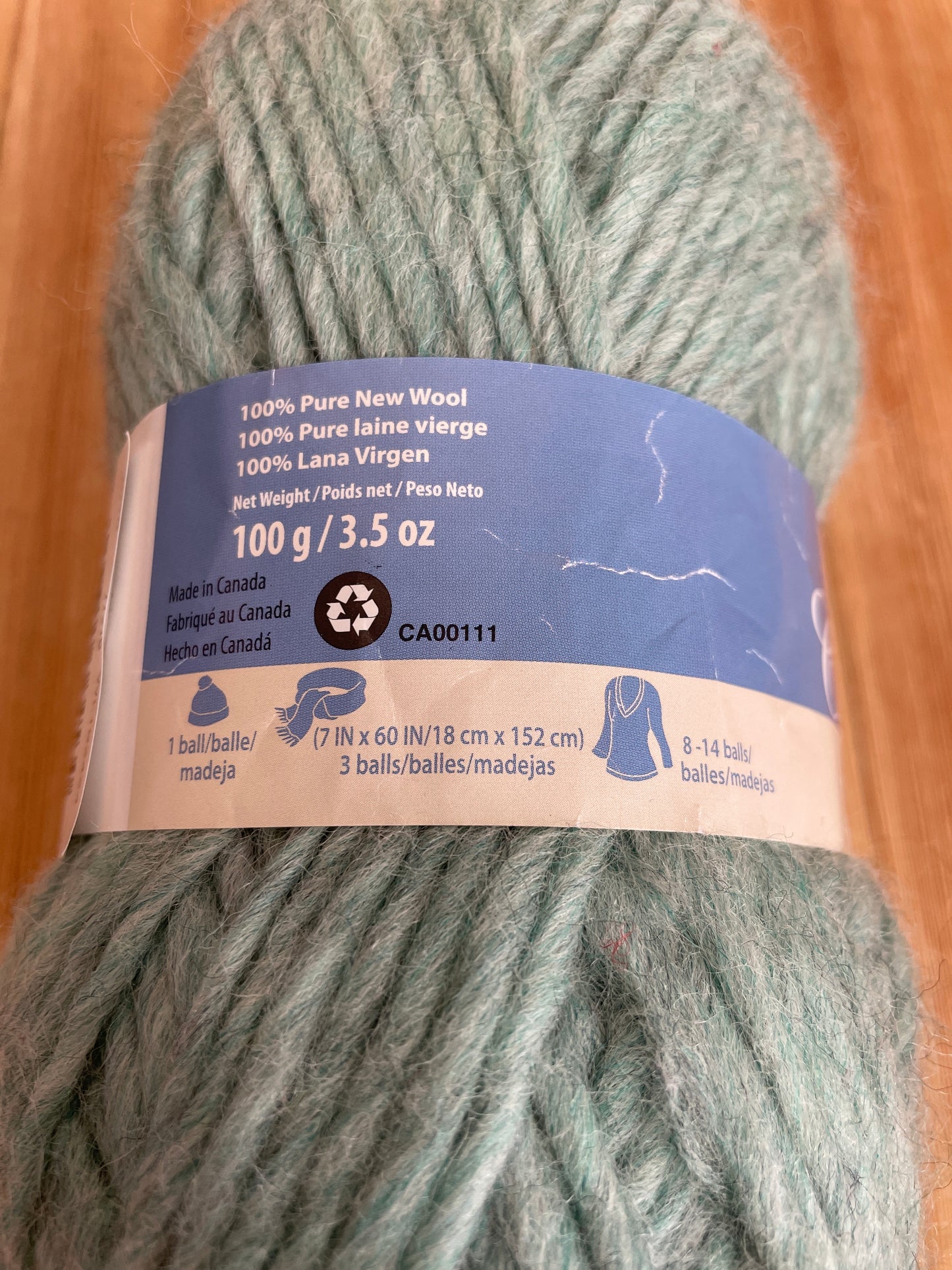 Patons Classic Wool Roving Low Tide Full Skein 100g