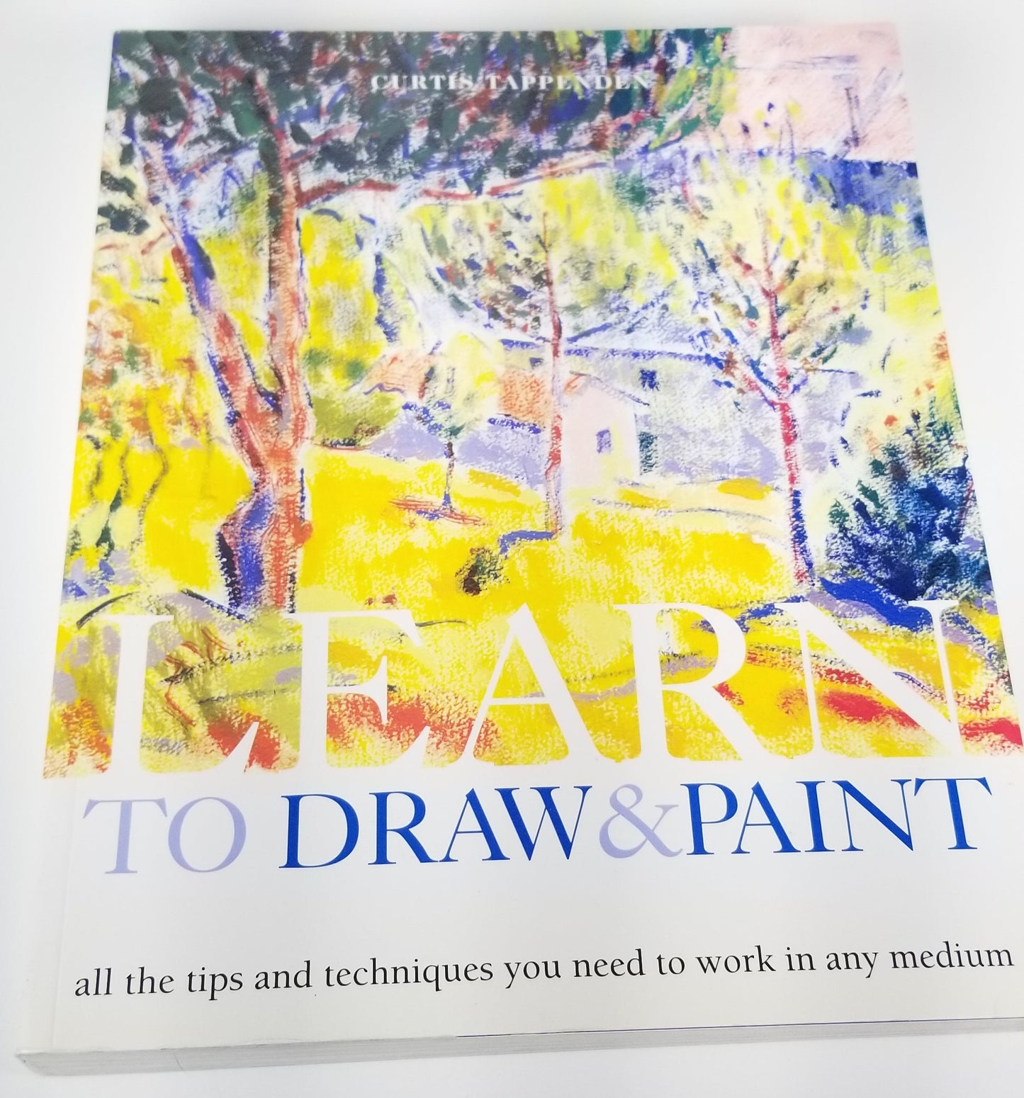 Learn to Draw and Paint Curtis Tappenden book