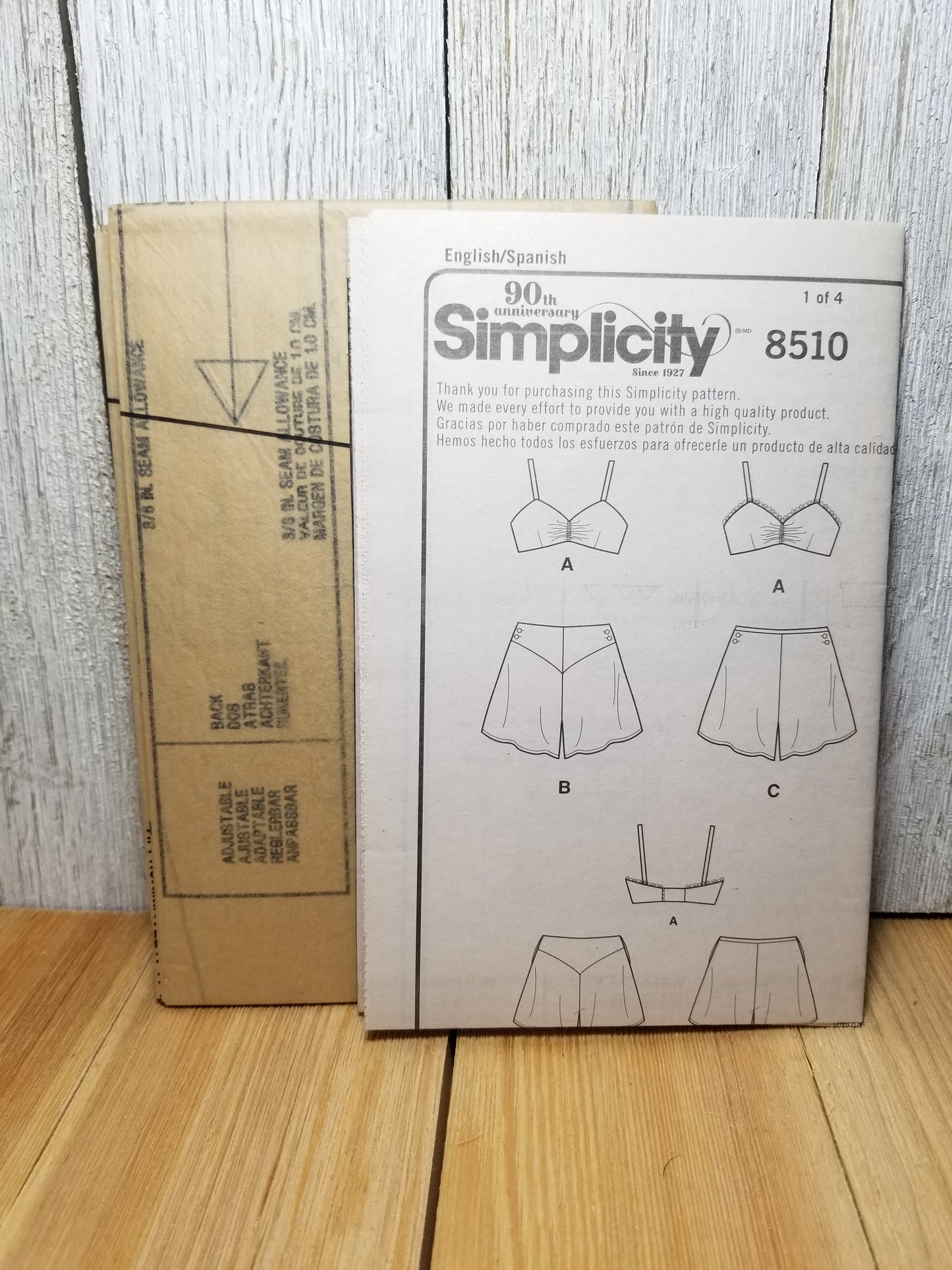 Simplicity 8510 Misses Vintage Brassiere and Panties Size 12-20 Uncut FF