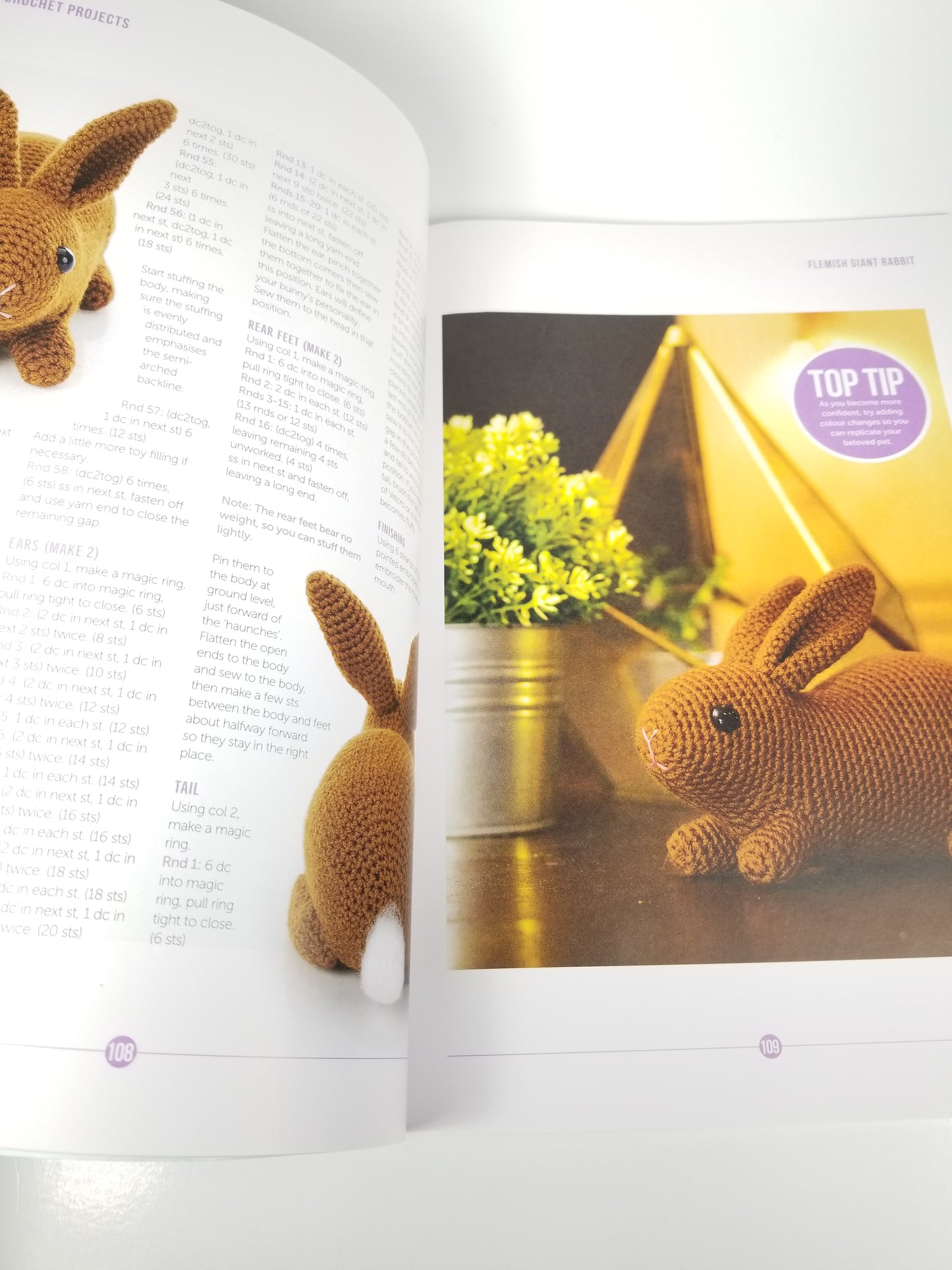 Easy Crochet Projects for Beginners Book