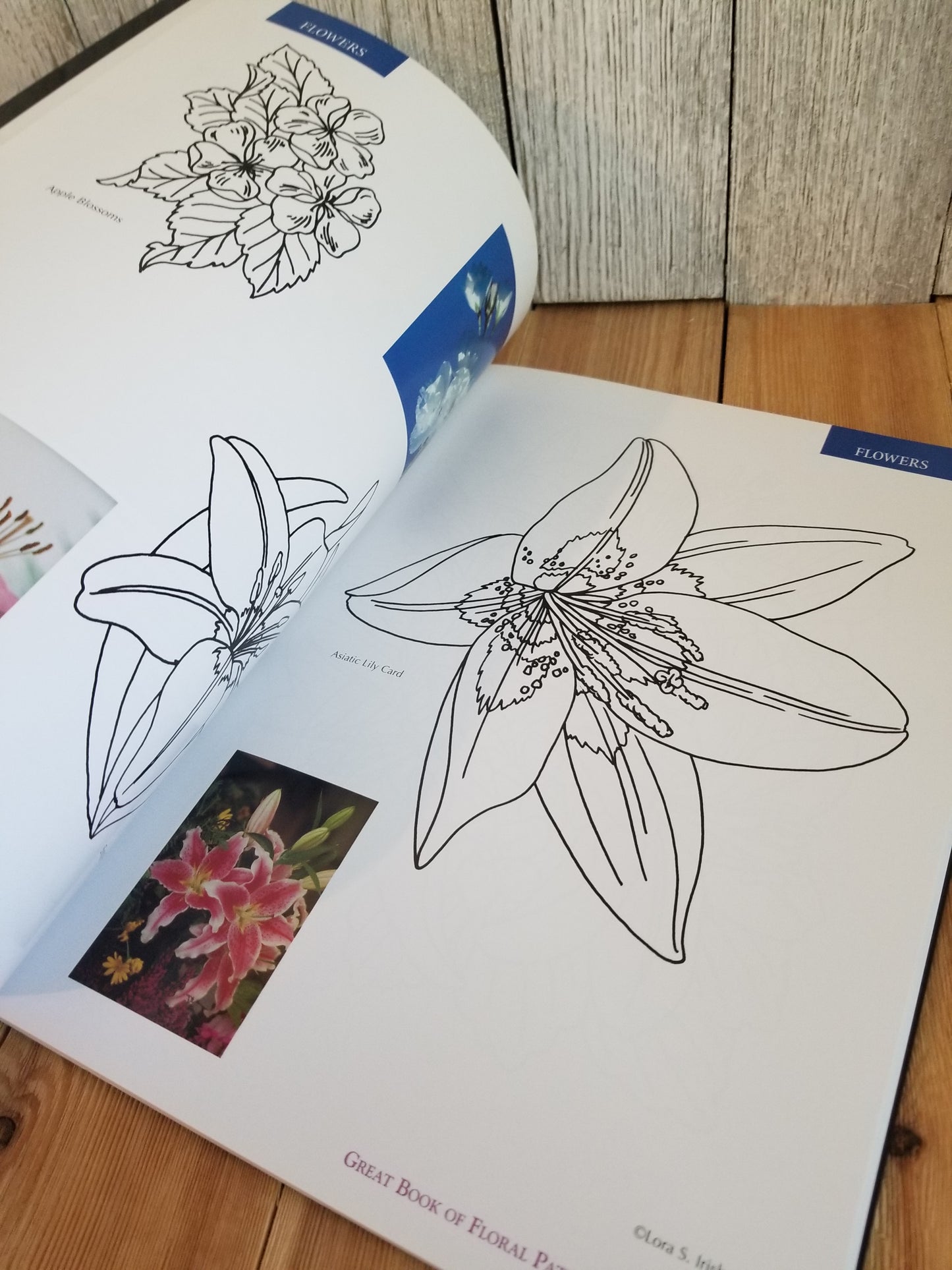 Great Book of Floral Patterns by Lora S Irish Art Book the Ultimate Design Sourcebook for Artist and Craftspeople