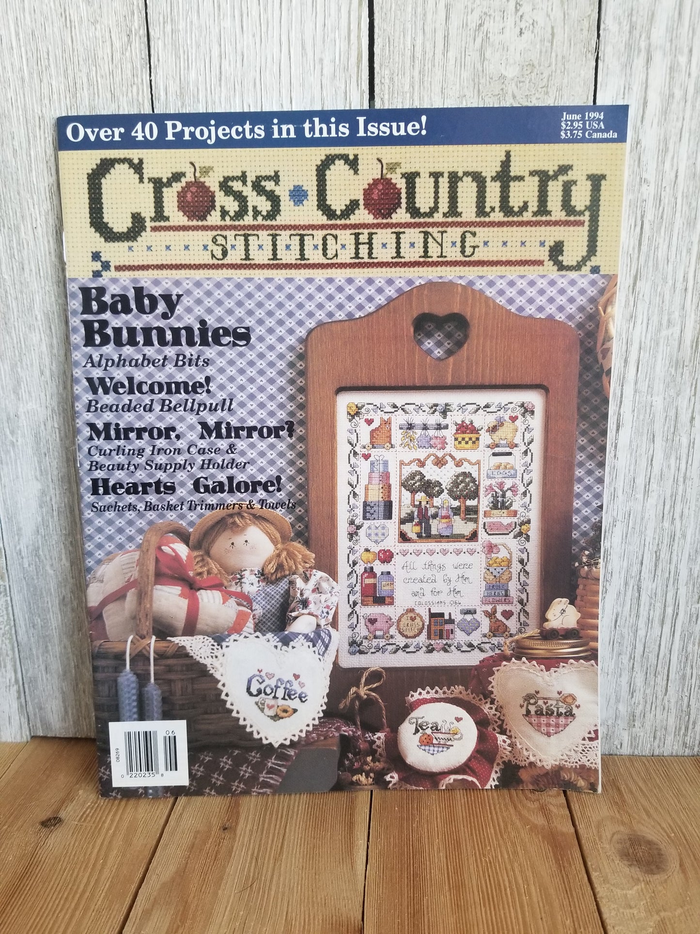Cross Country Stitching Magazine Cross Stitch Pattern Choose Your Book
