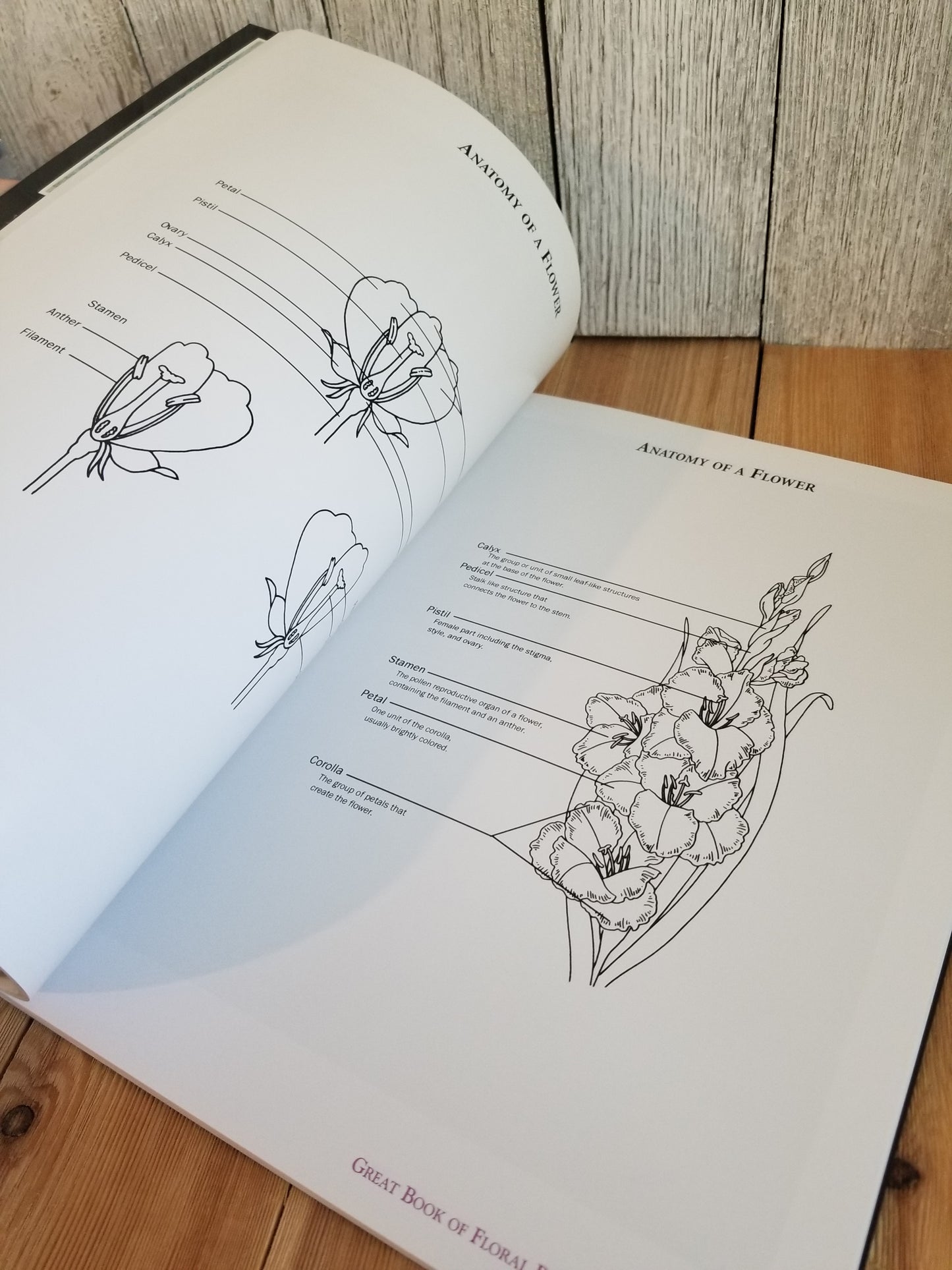 Great Book of Floral Patterns by Lora S Irish Art Book the Ultimate Design Sourcebook for Artist and Craftspeople