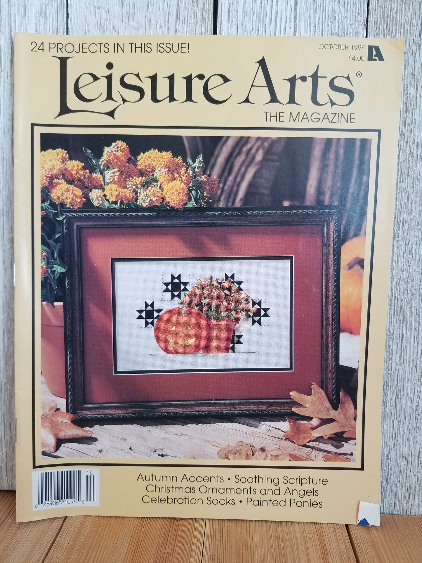 Leisure Arts Magazine Cross Stitch Pattern Choose Your Book