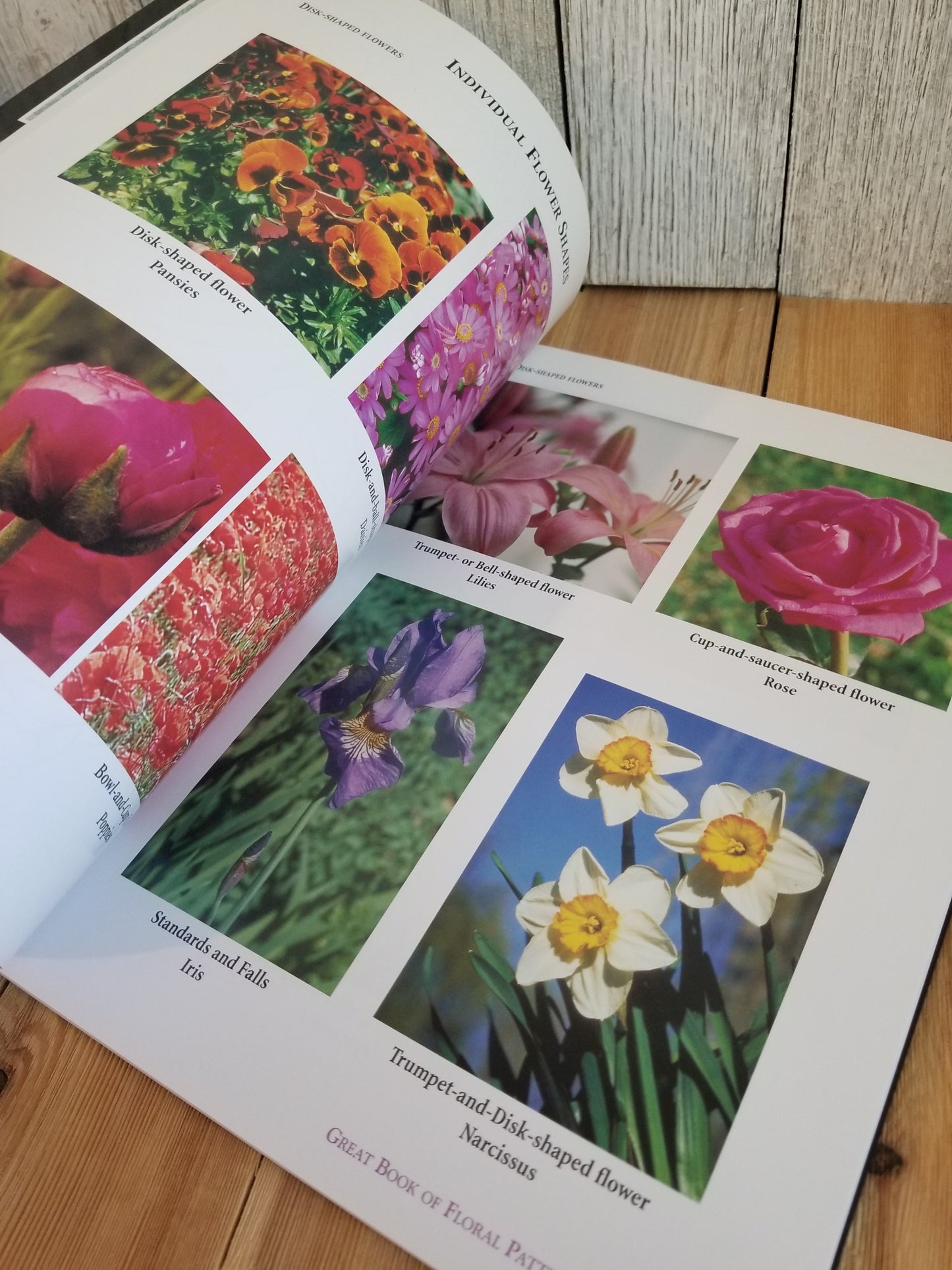 Great Book of Floral Patterns by Lora S Irish Art Book the Ultimate Design Sourcebook for Artist and Craftspeople