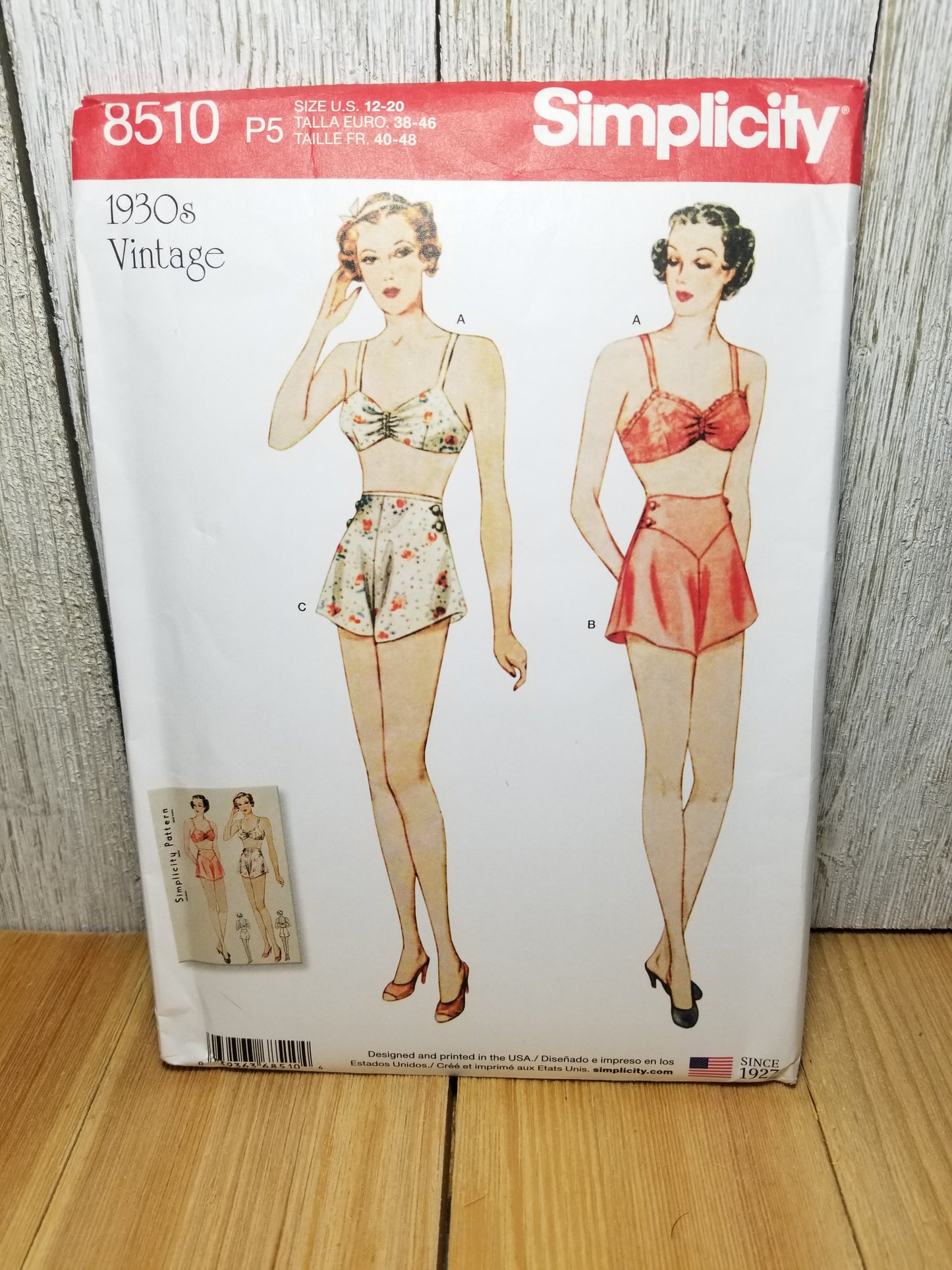 Simplicity 8510 Misses Vintage Brassiere and Panties Size 12-20 Uncut FF