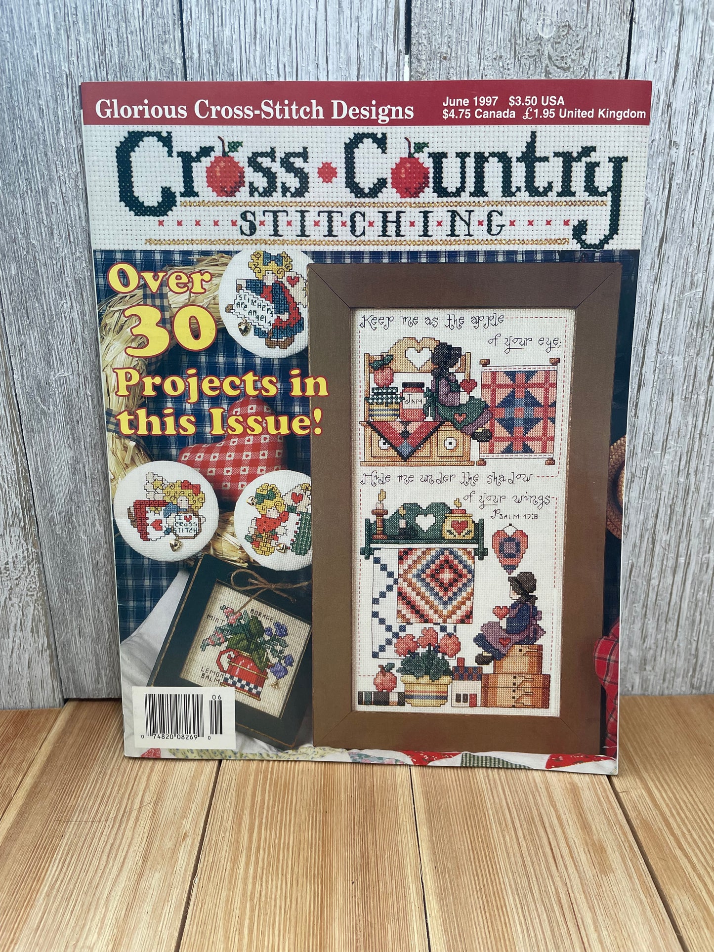 Cross Country Stitching Magazine Cross Stitch Pattern Choose Your Book