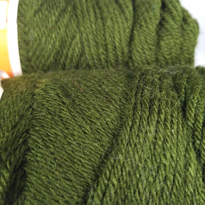 Jack Frost Loden Green Yarn