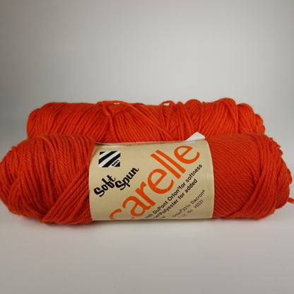 2 skein bundle Soft spun Carelle Venture Yarn