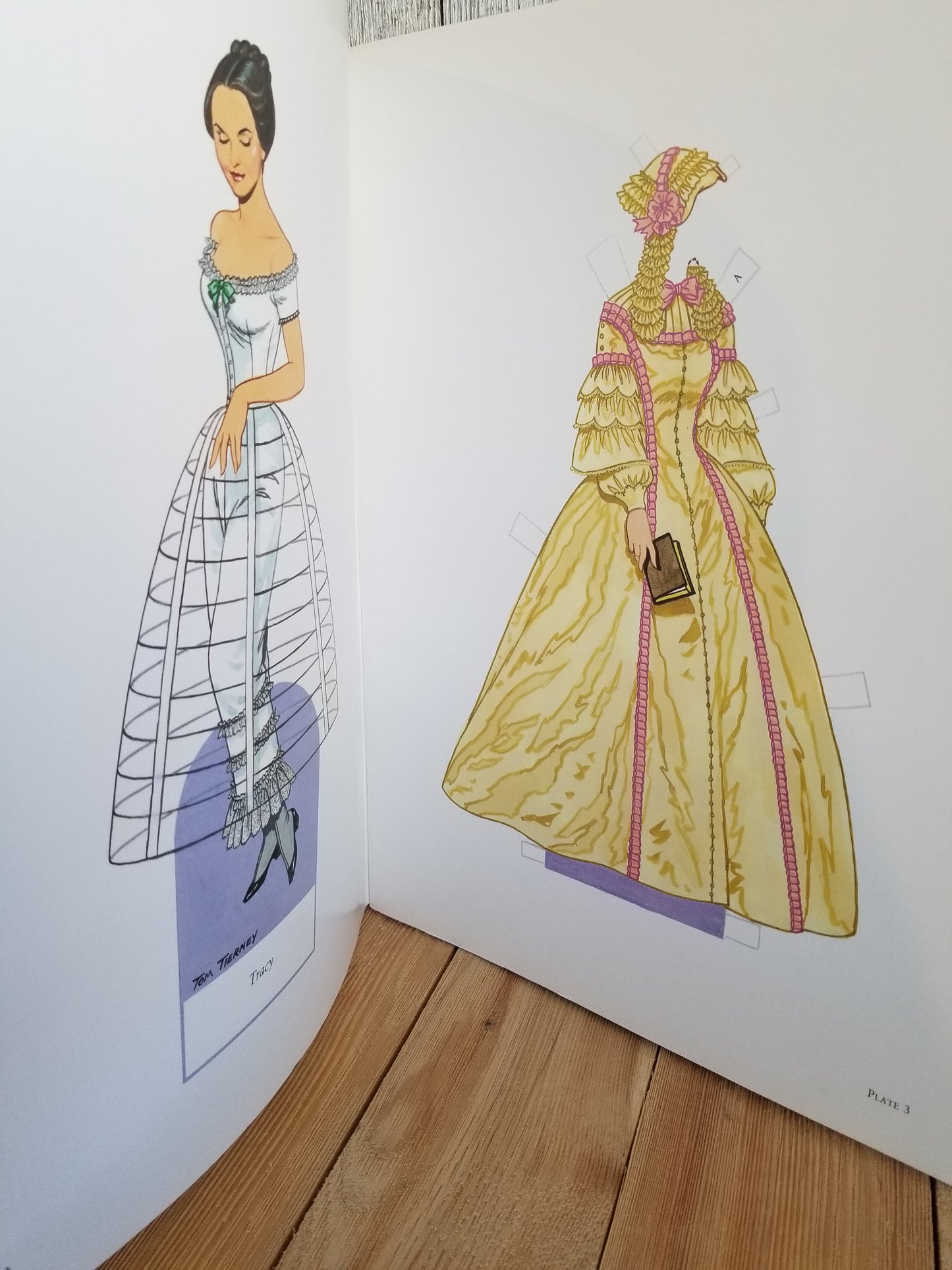 Uncut Paper Dolls in Full Color by Tom Tierney Book New