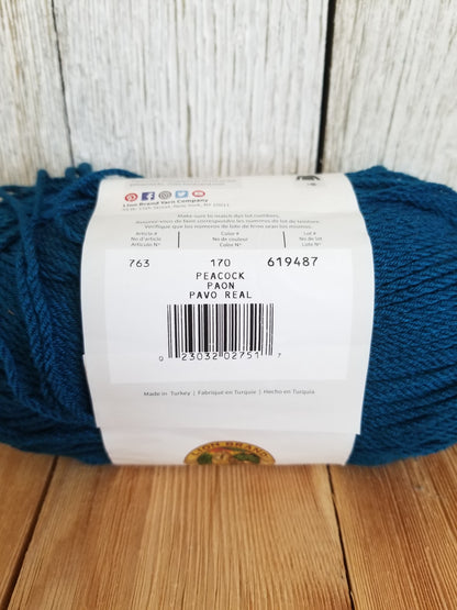 Lion Brand ZZ Twist Pick your Color Full Skein Yarn