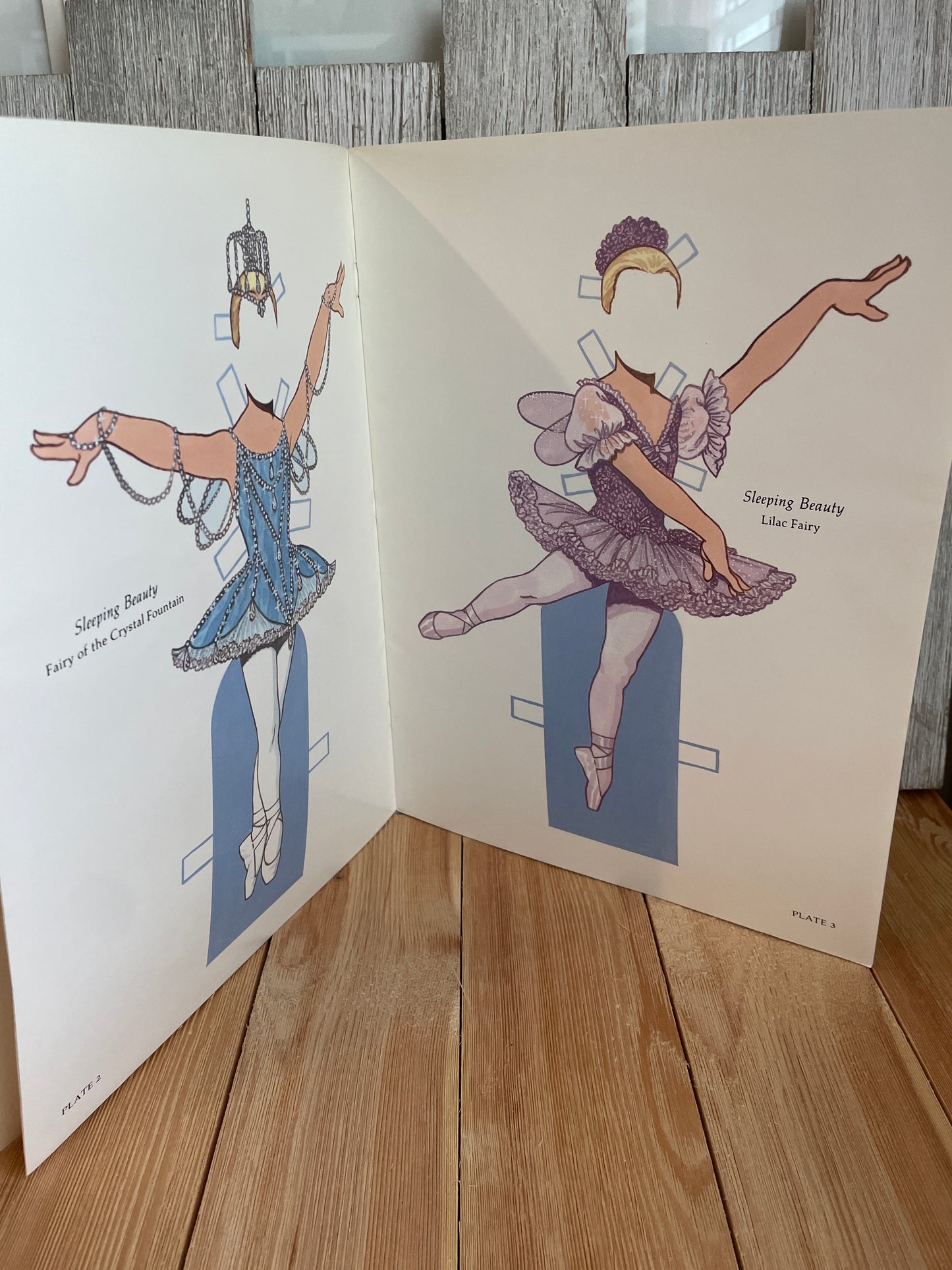 Uncut Paper Dolls in Full Color by Tom Tierney Book New