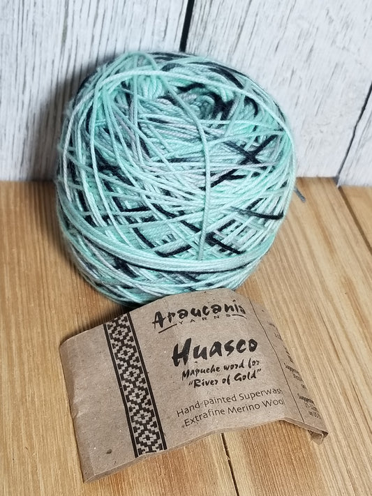 Araucanía Yarns Huasco Aqua Pura Hand Painted Super Wash Wool Yarn 68g
