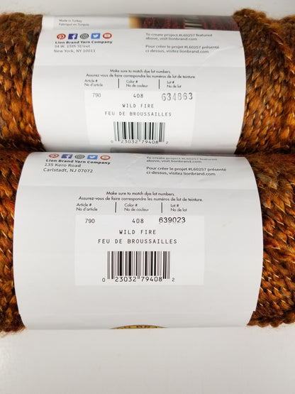 Lion Brand Homespun Wild Fire 408 Two Skein Yarn Bundle